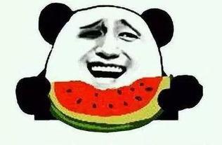 娱乐吃瓜手